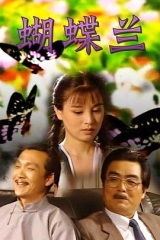 蝴蝶兰 蝴蝶兰